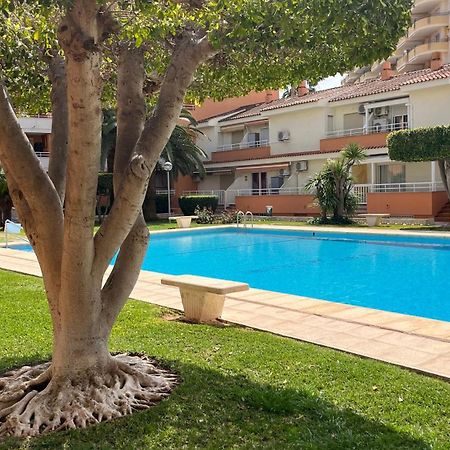 Apartamento Paradise Solo Familias غانديا المظهر الخارجي الصورة
