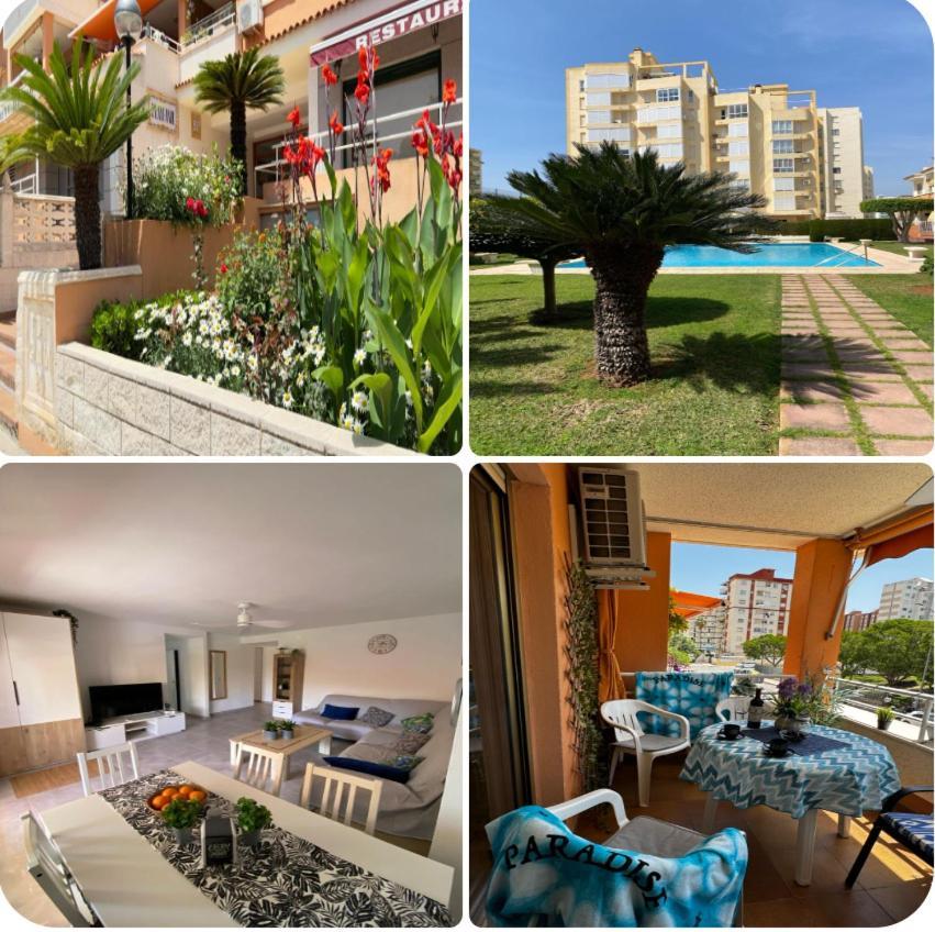 Apartamento Paradise Solo Familias غانديا المظهر الخارجي الصورة