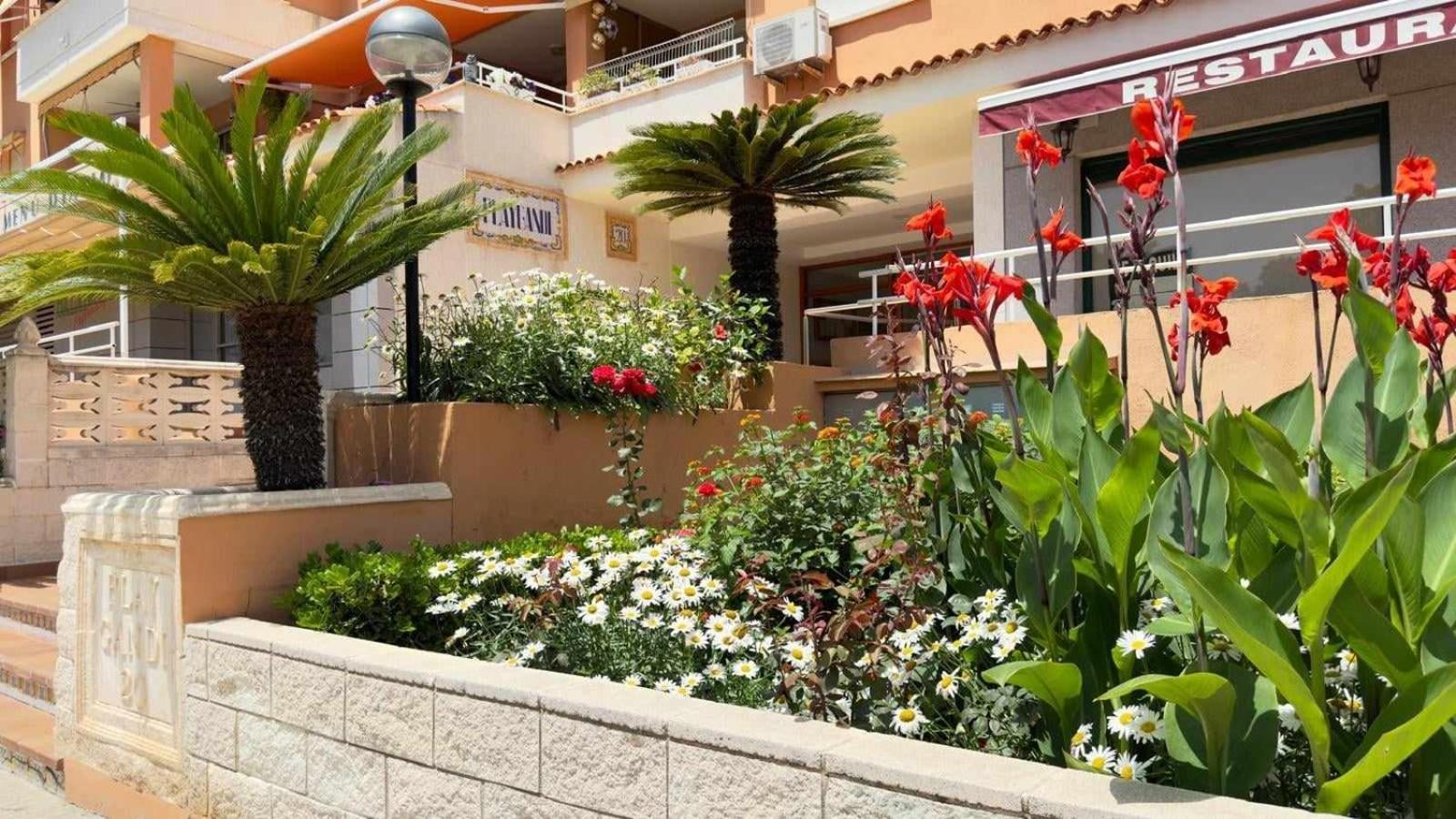 Apartamento Paradise Solo Familias غانديا المظهر الخارجي الصورة