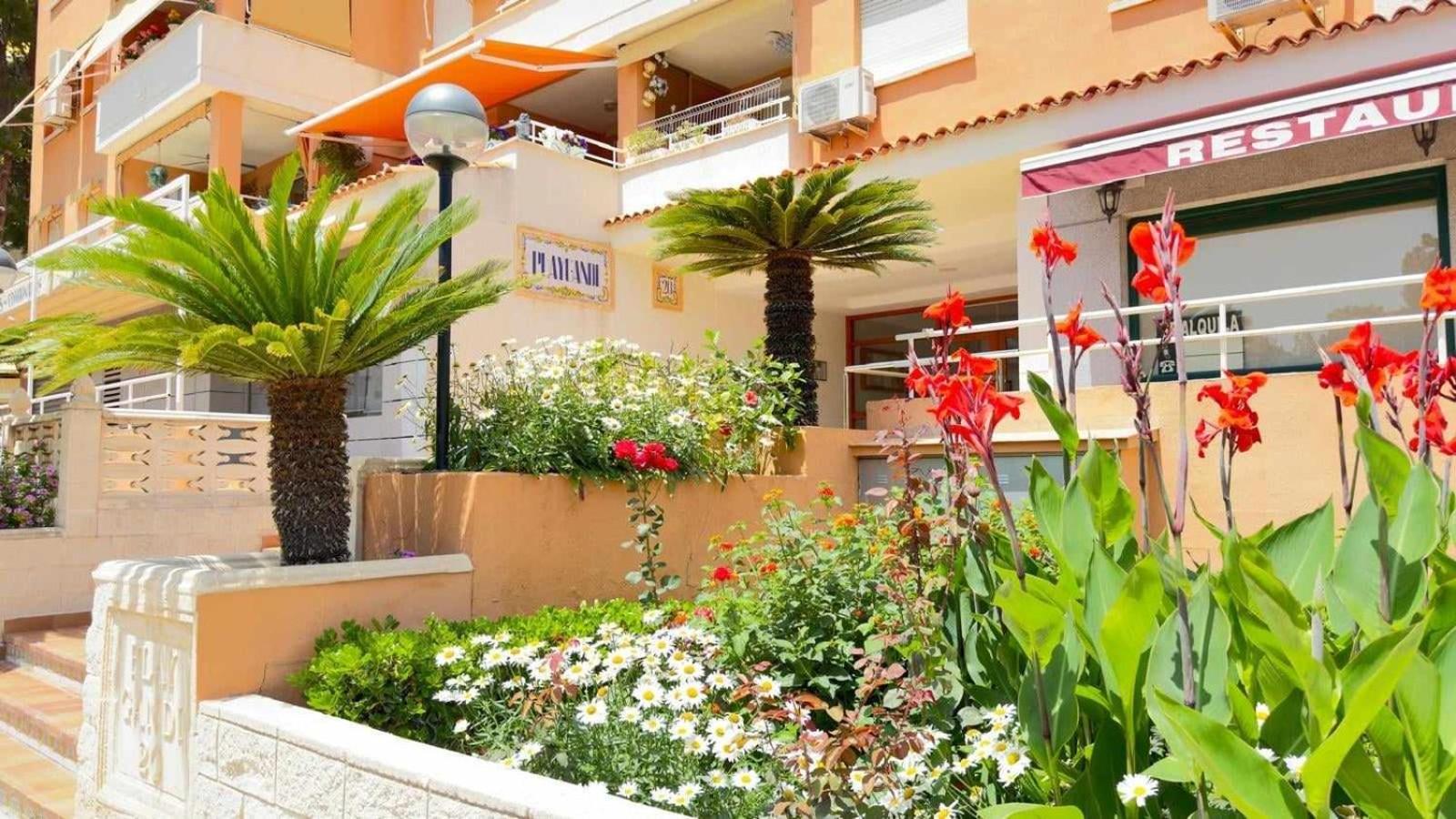 Apartamento Paradise Solo Familias غانديا المظهر الخارجي الصورة