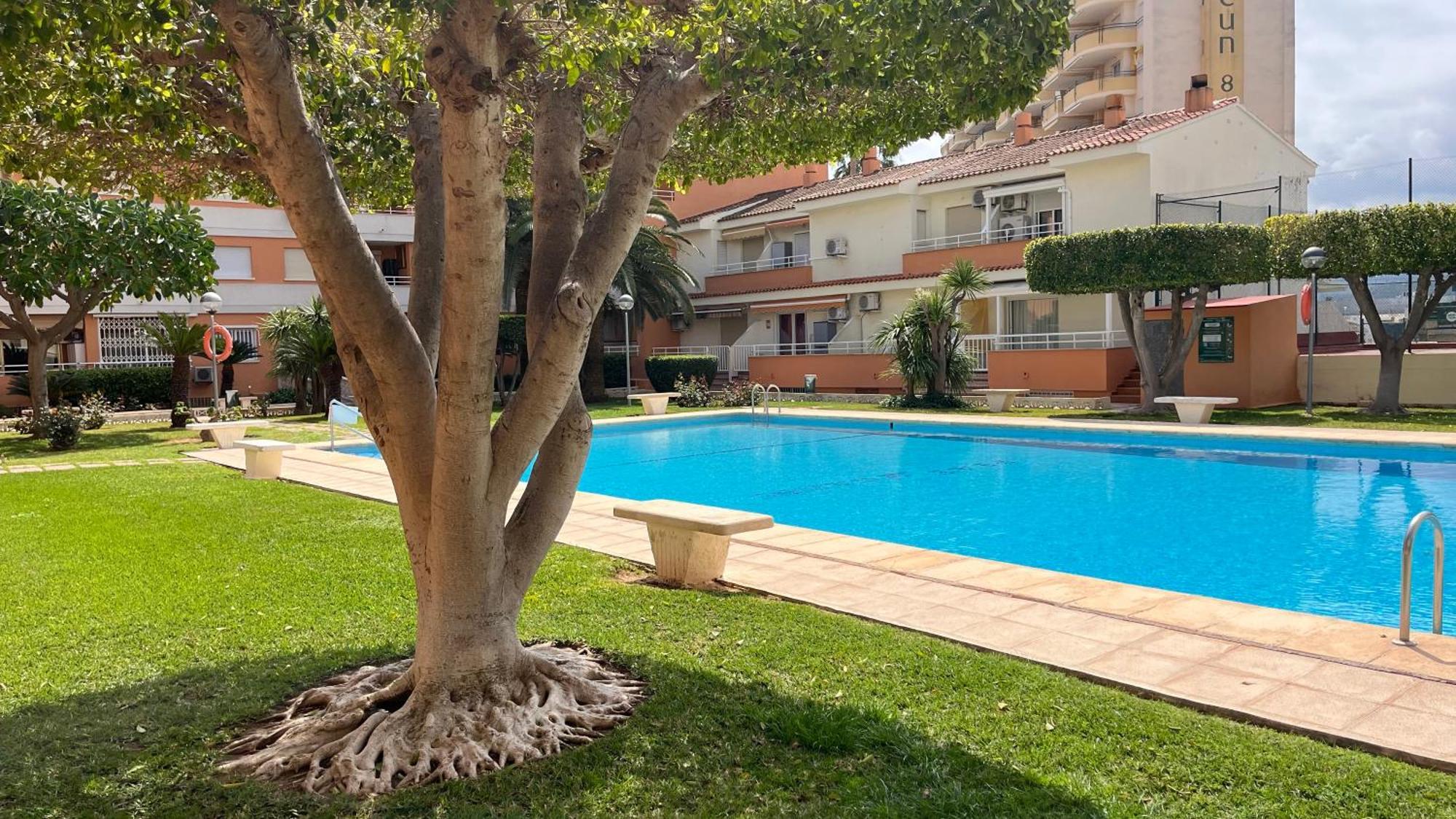 Apartamento Paradise Solo Familias غانديا المظهر الخارجي الصورة